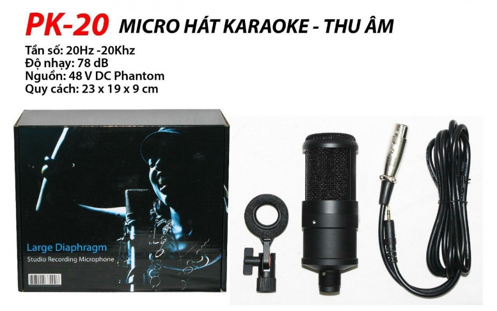 Micro Hát Karaoke Thu Âm PK-20