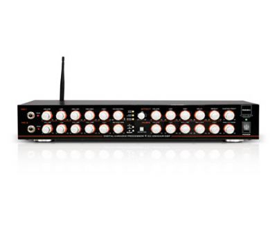 PARAMAX PLATINUM DX-2500AIR DSP